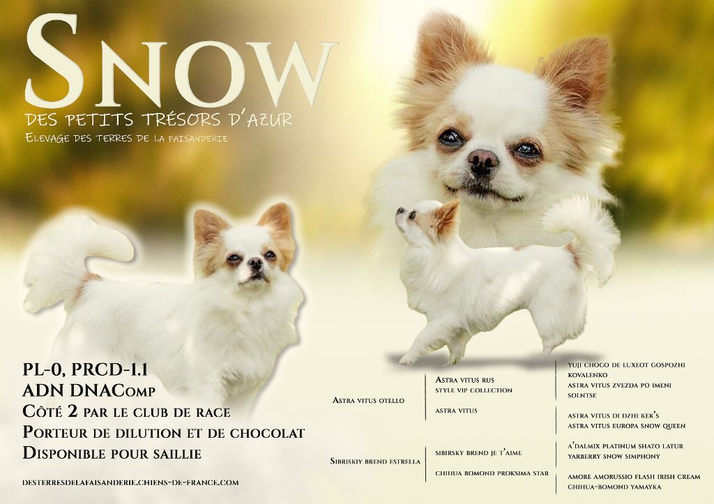 Snow Des Petits Tresors D'Azur