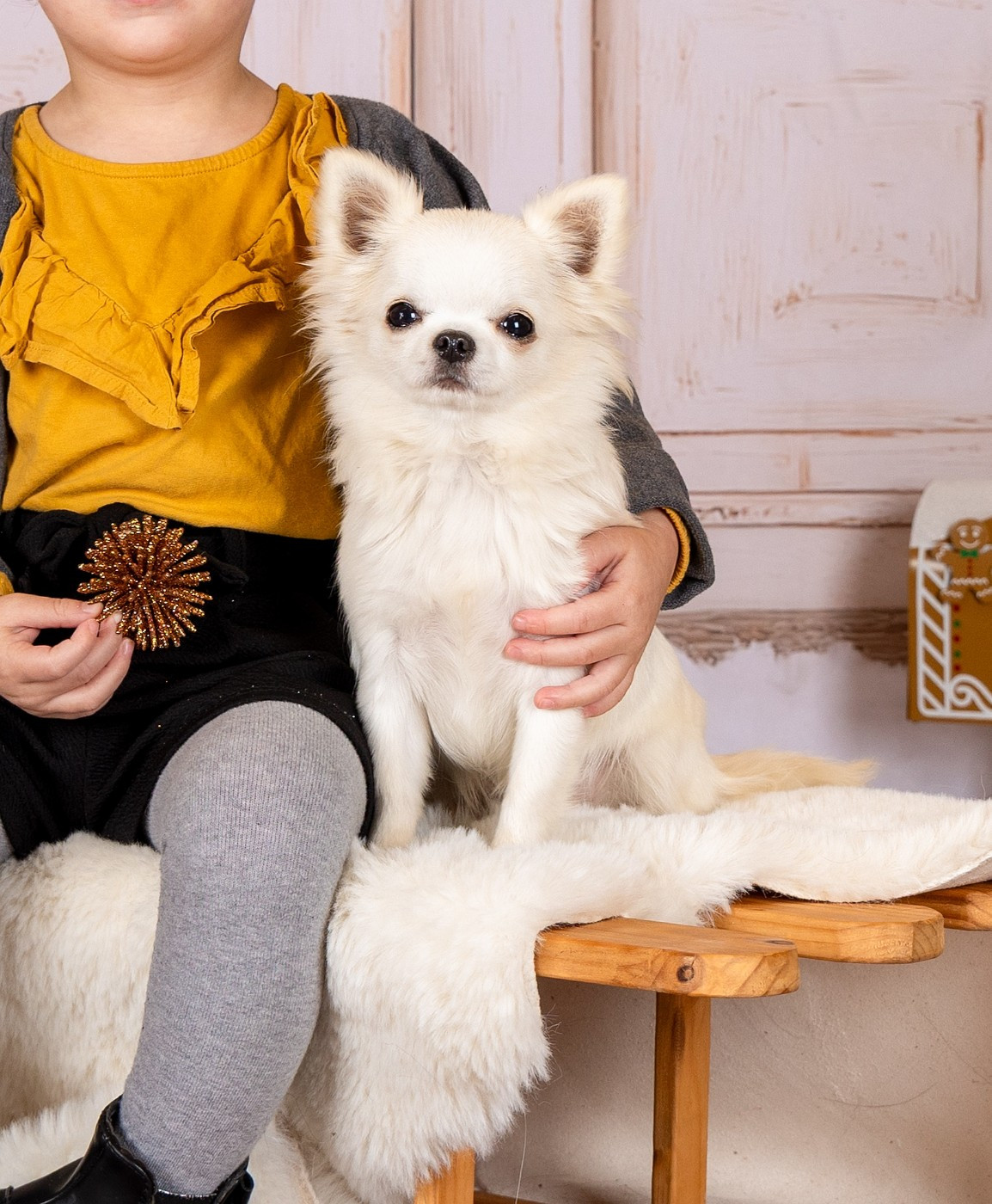 AVADA KEDAVRA  des Terres de la Faisanderie
